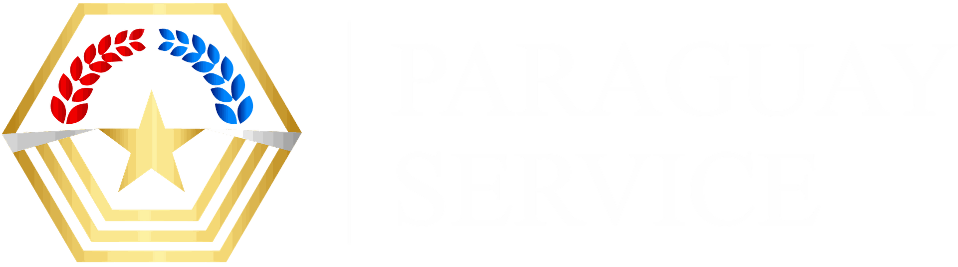 Paraguay Service Portal